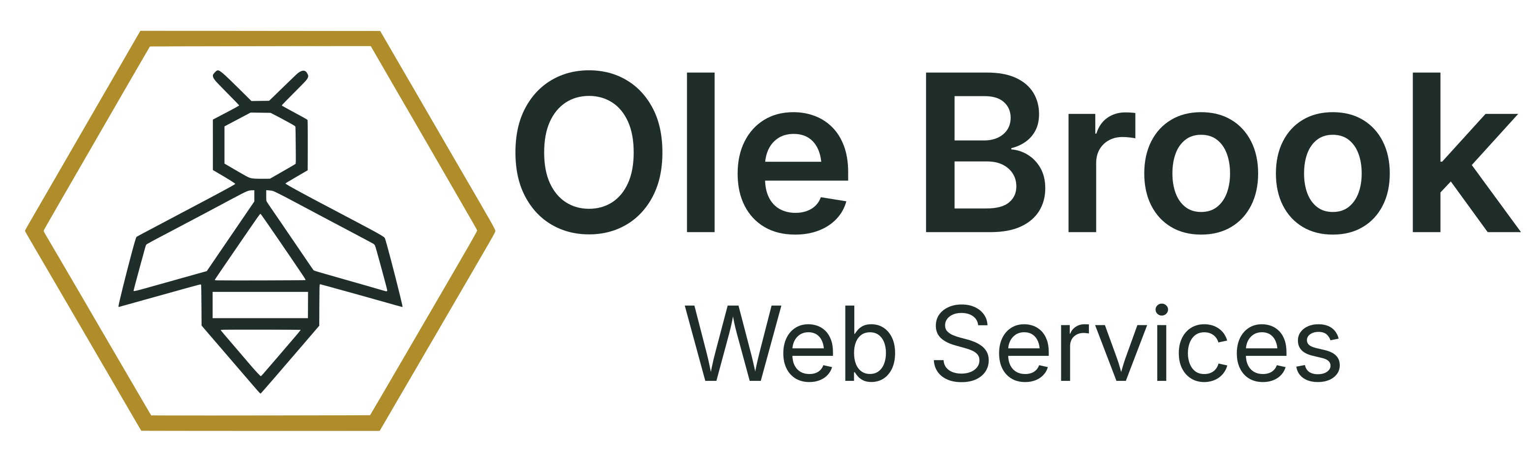 Ole Brook Web Services